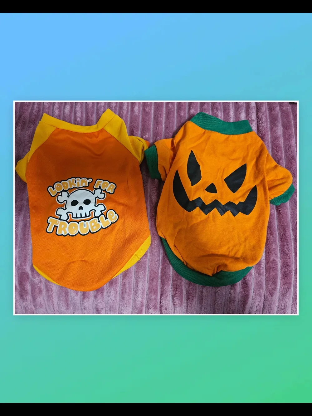 Orange Halloween Pumpkin & 'Looking For Trouble' Dog Tops